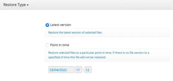 Flexible restore screenshot